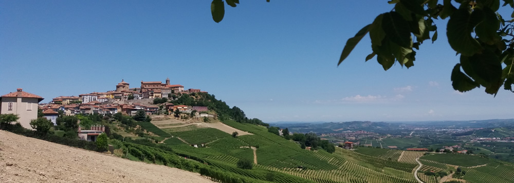 picturesque wine growing Piedmont region of italy