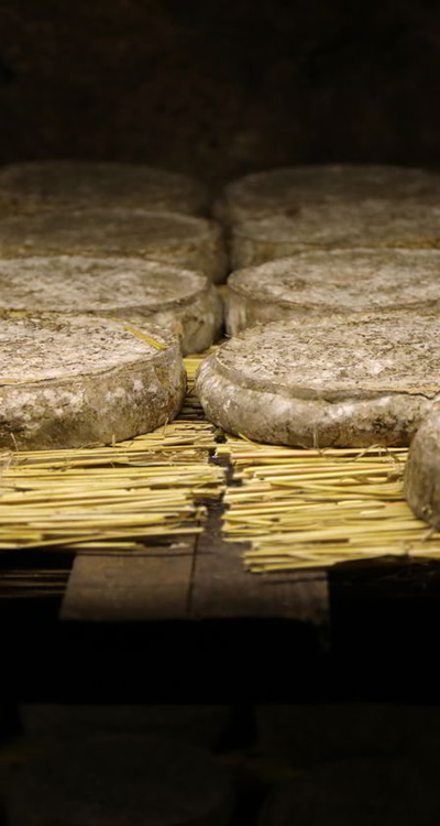 Descubre los secretos de la elaboración tradicional del queso italiano.