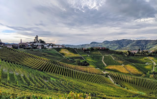 langhe vineyard stroll