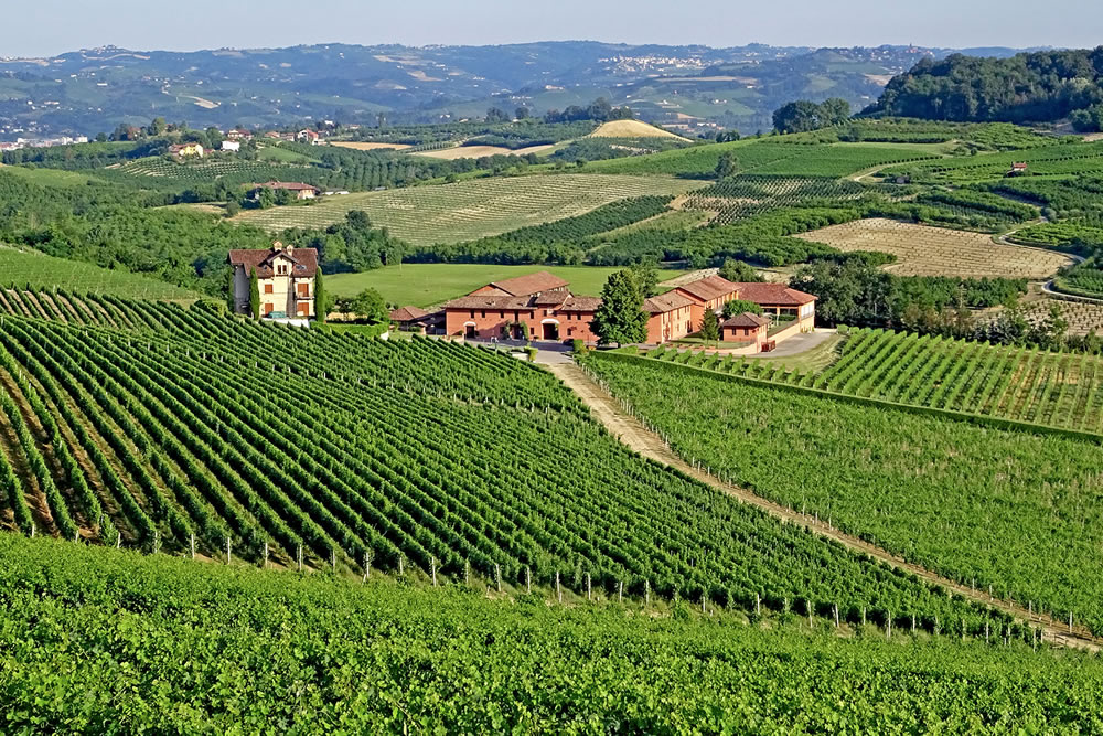 barolo vineyards of tenuta carretta in piobi d'Alba in Roero