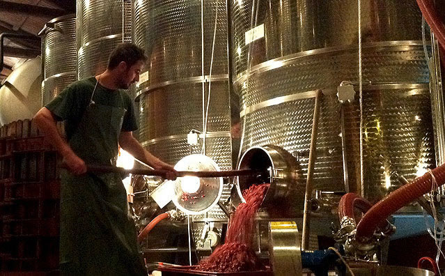 davide germano making barolo wine