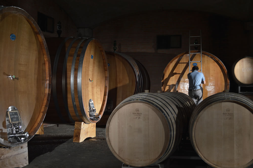 barolo vineyards in tenuta carretta vineyards